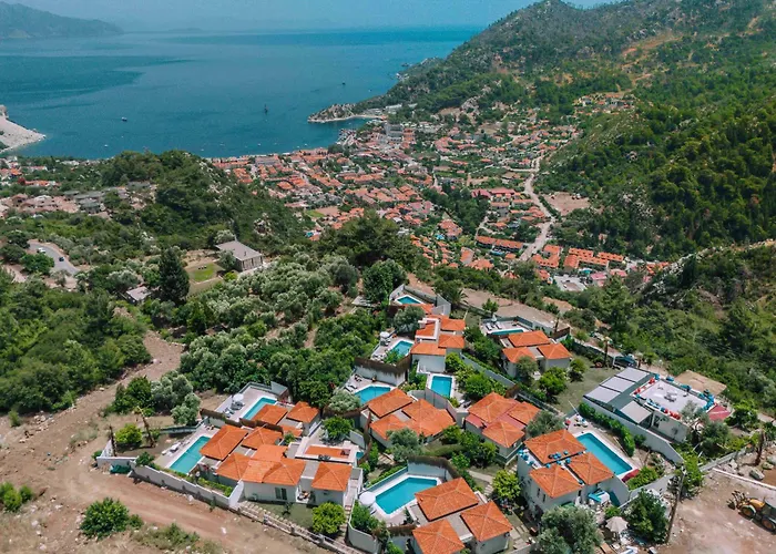 Alya Country